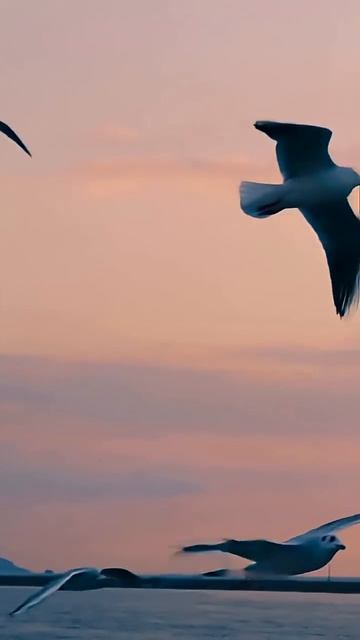 Lx24 - Ода (Альбом 03.10)