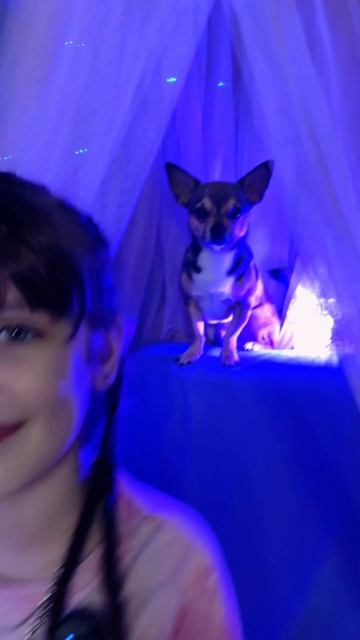 #вакукувчижике #вакуку