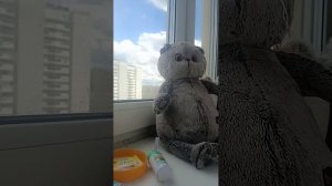 самодельная аптечка для басиков