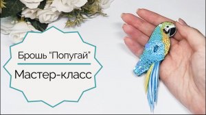 Брошь «Попугай». Этап 1.  Контур и вышивка головы. Мастер-класс