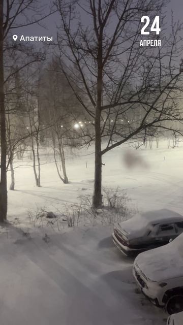 Русская зима уходит на посошок #Апатиты #2026