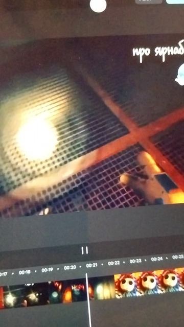 все про лили ну а я ...... не ну а что он же милаха🎀