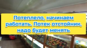 Потеплело, начинаем работать. Потек отстойник, надо будет менять