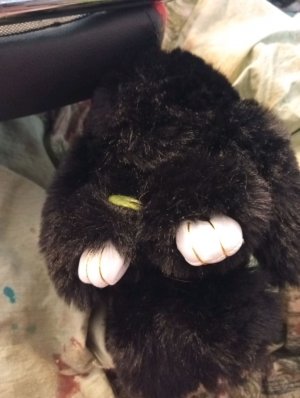 популярные тренд