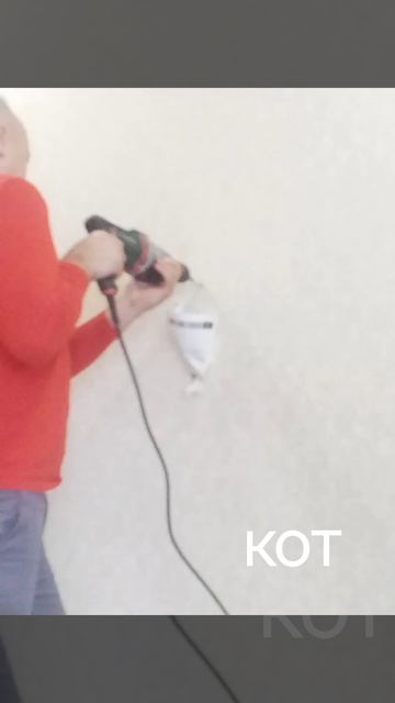 petal_20260425_092652.mp4