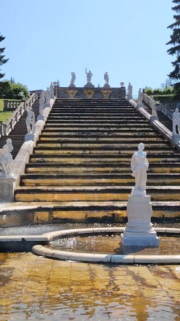 Петродворец. Фонтан Золотая Гора. Флора