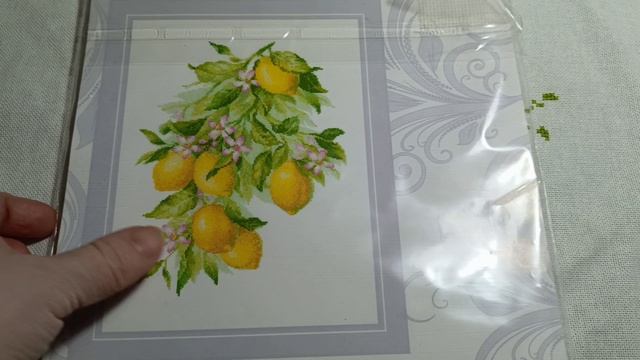 4 Вышивальный (и не только) дневник 2026/11-20.02. Старты и финиши