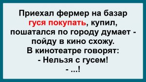 Приехал фермер на базар... Подборка Пикантных, Остреньких, Жизненных Анекдотов! Юмор! Смех! Позитив!