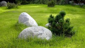 Природный камень валун Кавказ