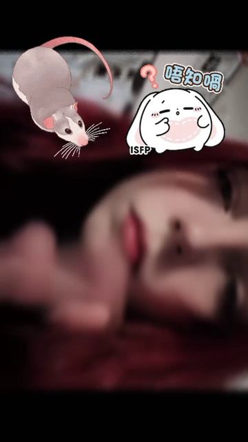 Кити кошка Виола Ви вашу заявку 🌼💢💌