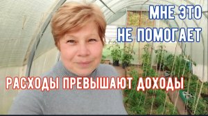 239🏡 Ураган все таки сломал ее/Подсчитала затраты на огород🤦/Мне это не помогает