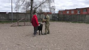 ПРК Рейган Рей