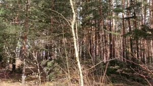 ПРО ПРИРОДУ, ПРО ПОГОДУ... 🌲❄️☔🌿 И ПРО АВТОРСКУЮ ПРЯЖУ...🧶🧶