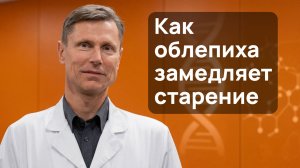 Польза облепихи