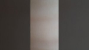 Говорящие рыбы .1сезон .1серия:Новый гость.