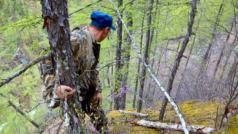 Поход в горы за каменным маслом