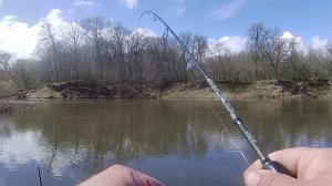 ПОЧЕМУ ТАК? НАХОДКИ В ЛЕСУ. РЫБАЛКА НА РЕКЕ.