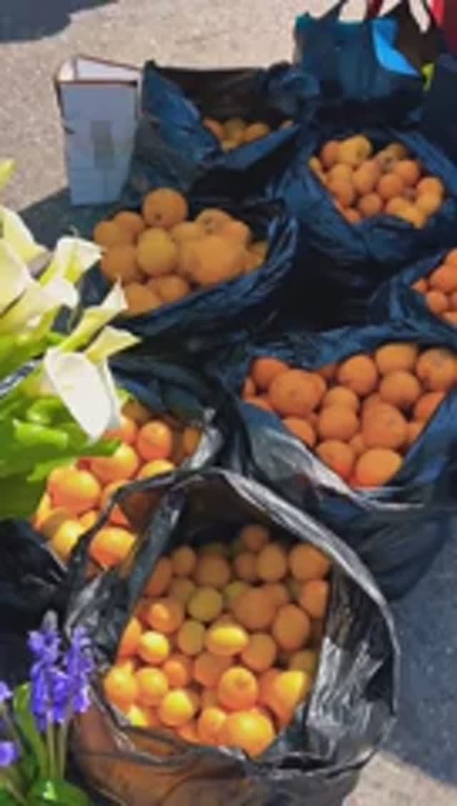 Рынок в Гаграх#абхазия