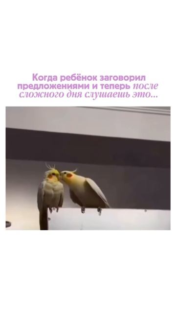 Когда ребёнок начал говорит