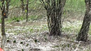 25.04.2026 Заряд снежной крупы холодным апрельским утром в городе Вязники