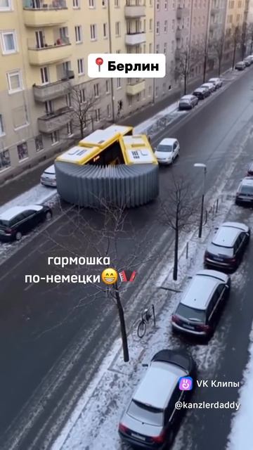 немецкий баян