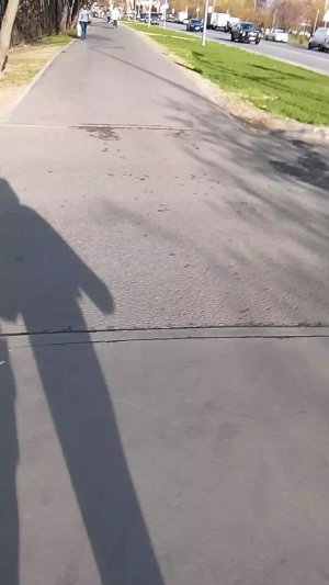 самая лучшая прогулка