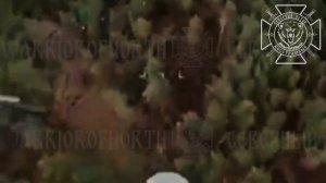 💥Бои в Черниговской области: наши операторы FPV уничтожили украинского националиста