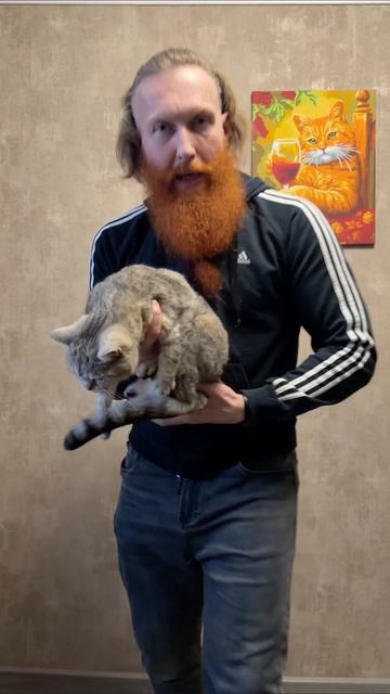 Лучший способ проверки человека