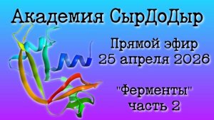 Ферменты ч.2