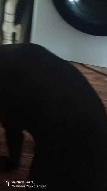 426 Марк и Гриша часть 666