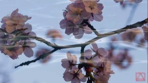 Максим Исповедник ВТОРАЯ СОТНИЦА О ЛЮБВИ ч11