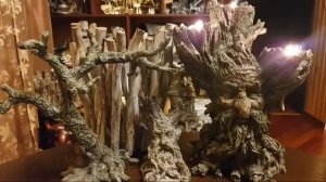 БОЛОТА В МАГИИ...