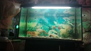 10 Аллен Карр Лёгкий способ бросить курить
Быть свободным