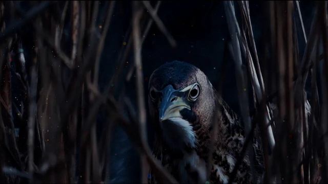 Анатолий Бабушкин Тишина над Балкой