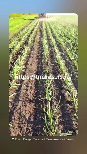 Пальчиковый культиватор ТМЗ РЕСУРС для чеснока и овощей