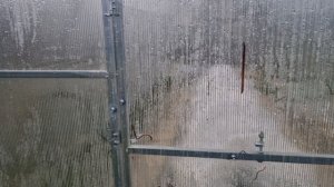 18 апреля 2026