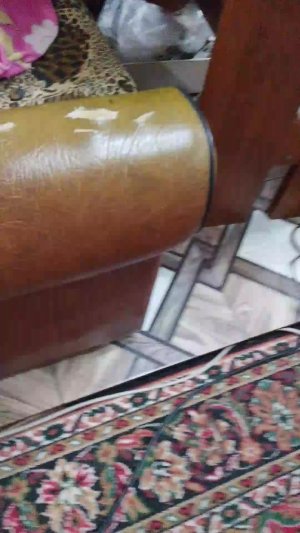 верен кот вася паламал ногу в квартире веры и упал с балкона