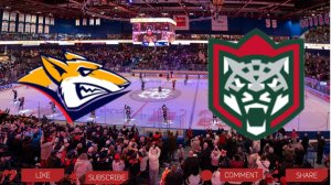 Металлург - Ак Барс | Текстовая трансляция