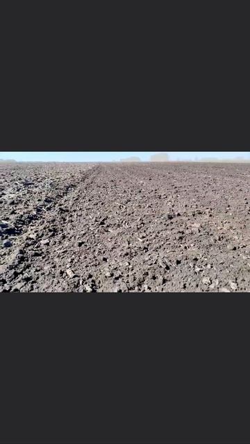 Swifter работает!! #беднар #свифтер