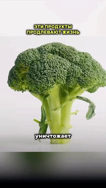 Твоя здоровая планета