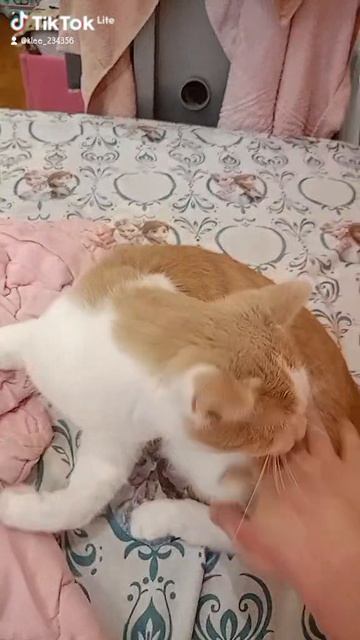 я скучаю по нему.... (((