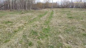 Берёзовый сок попил, и металл нашёл.