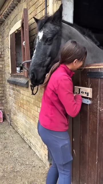 Милые животные.