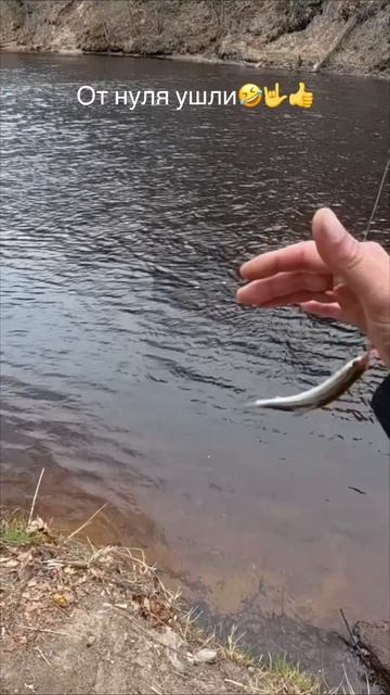 от 0 ушли👍🤟😂#рыбалка