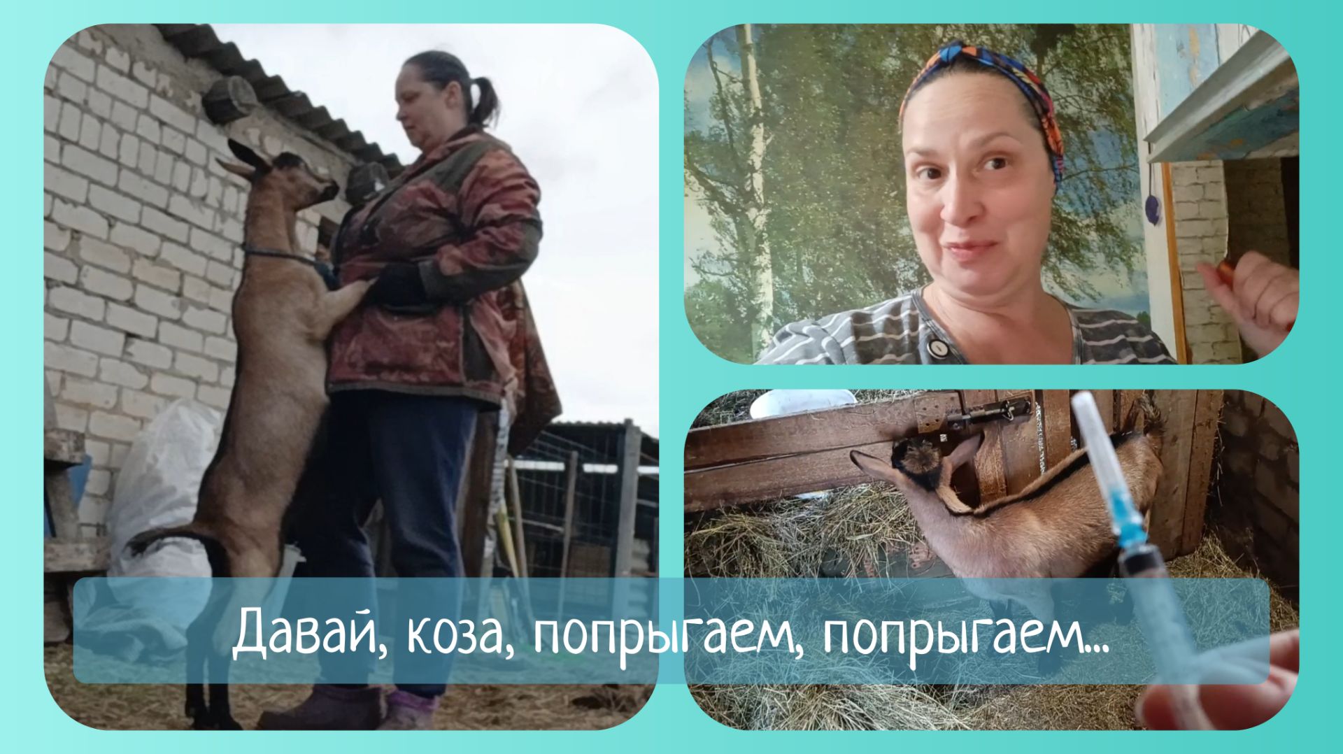 Козу раздуло 🎈Секретный рецепт 🤫