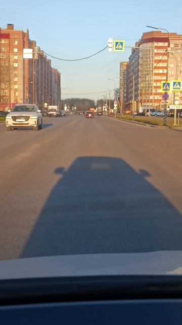 Какая ушастенькая.😍 #электрикмиллионер