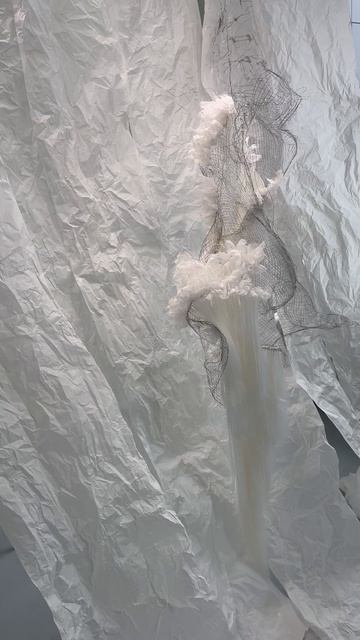 Дипломный проект «Сон Бабочки»