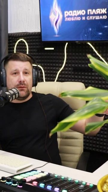 Алиса включи плейлист радио Пляж