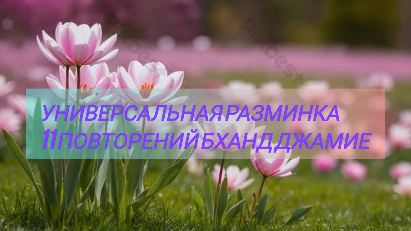 Исцеляющие Шабды Любви  Универсальная разминка и 11 повторений 