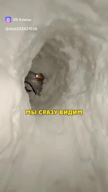 Clip-233421036_456239341video_fa582aeeax_iNxFFmnHzAXVs_Rl6qvC72q68F1NKfIc1kVz2j3oNecRmTh_eMJ1eMTTHX